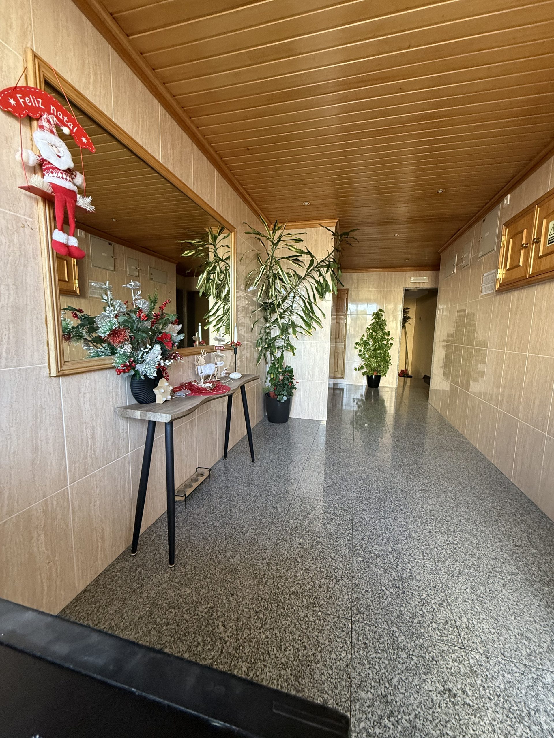 Galeria img 4362